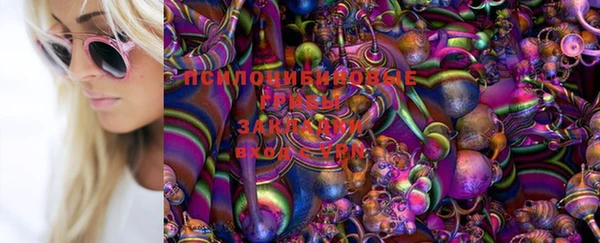 спиды Арсеньев