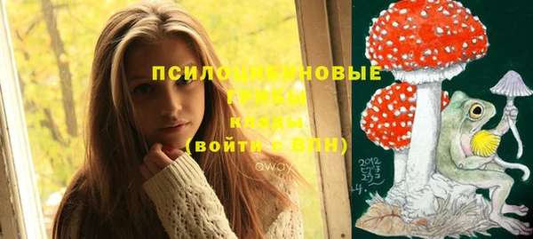 спиды Арсеньев